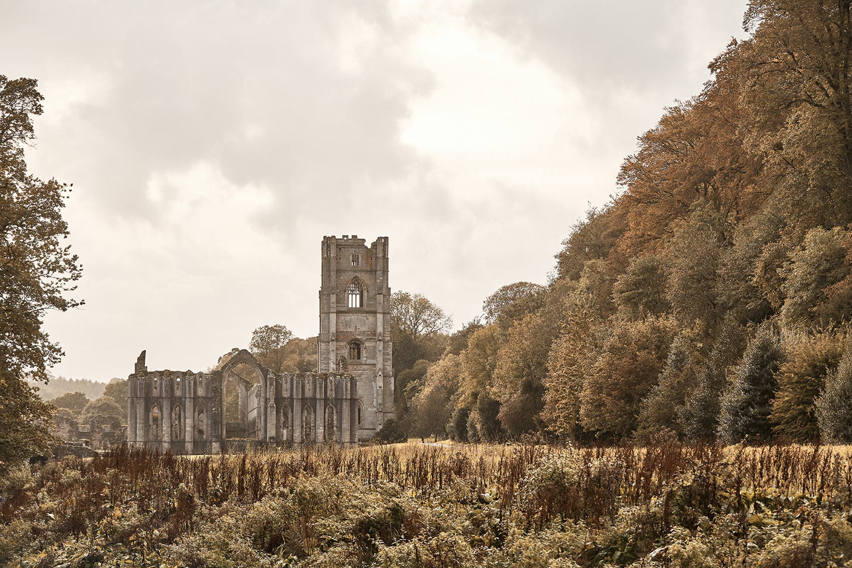 2019_10_07_TL_YORKSHIRE_FOUNTAINS_ABBEY_105_RT