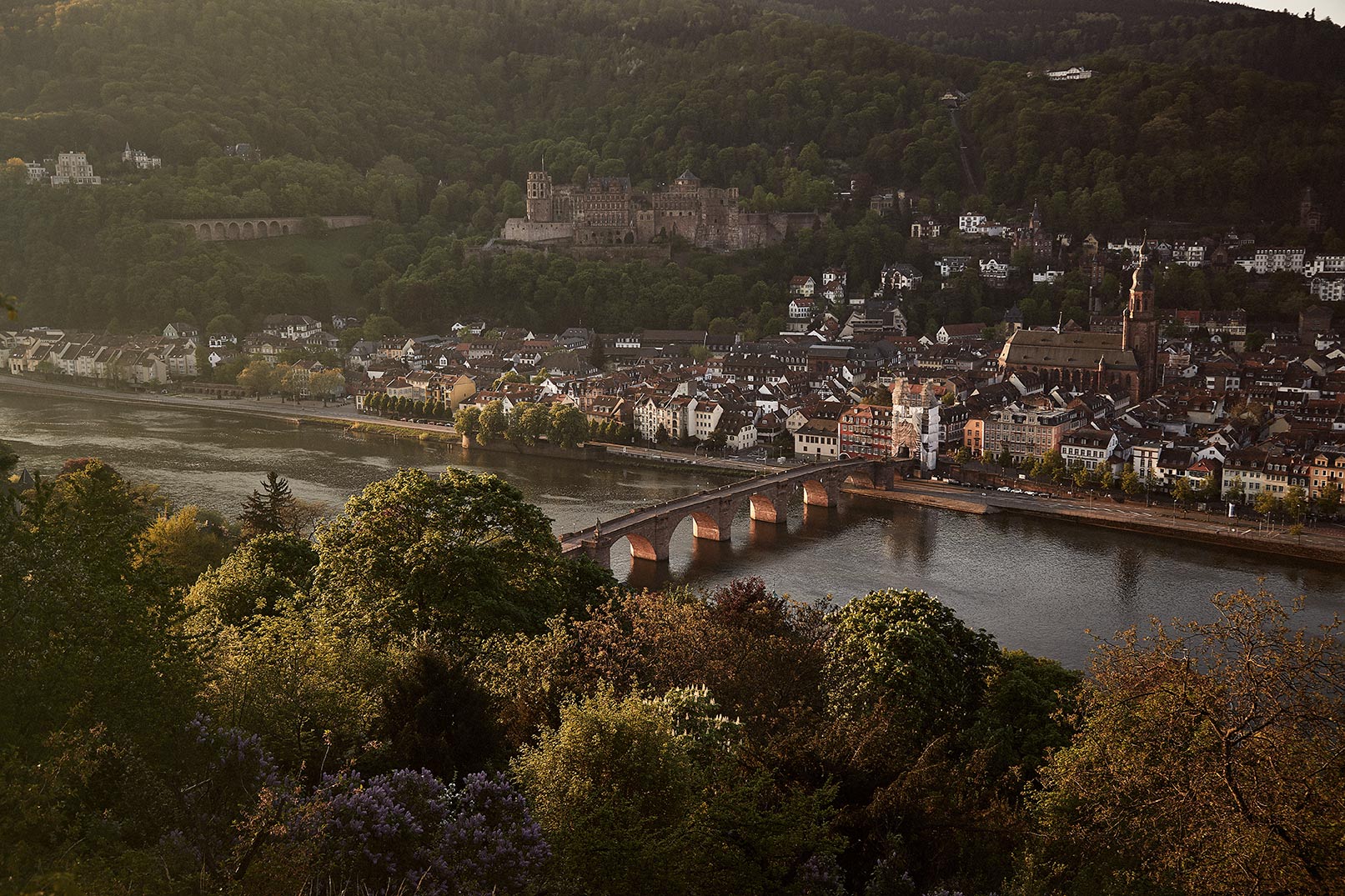 Heidelberg__01